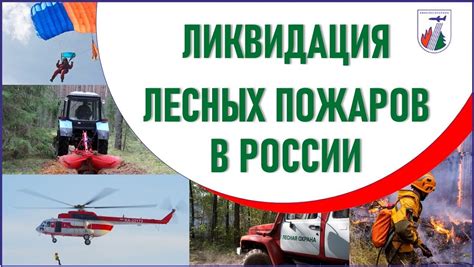 Авиалесоохрана: О лесопожарной обстановке в России на 00:00 мск 07.
03.
2026 г.