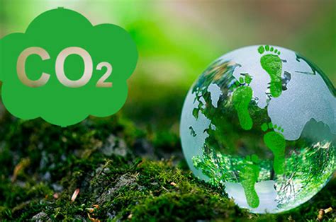 Экологичные материалы в производстве: снижение углеродного следа