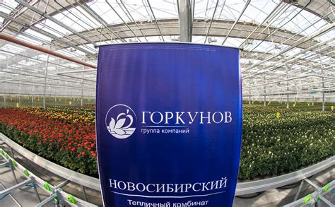 Как семейный бизнес «Горкунов» нарастит выпуск цветов