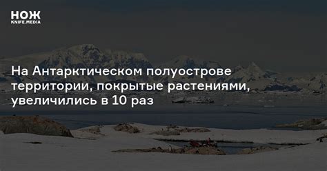 Новое исследование: климат на Антарктическом полуострове меняется быстрее ожиданий