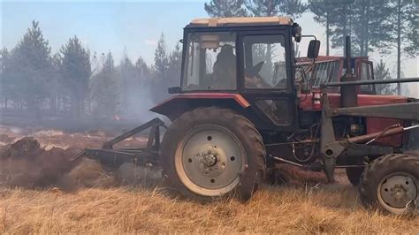 Педаль в грязи: топливная авария в удмуртской тайге угрожает лесной экосистеме
