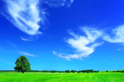 Платить за чистый воздух: кто и почему вносит экологическую цену
