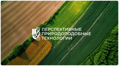 Россия укрепляет позиции в борьбе за ресурсы через природоподобные технологии | IF | 24.
02.
2026