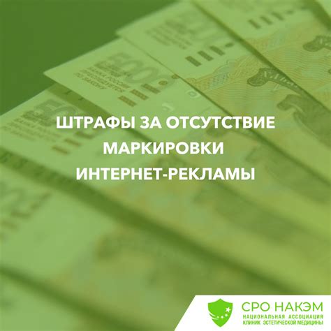 Штрафы за отсутствие экологической отчетности: что изменилось для компаний и ИП