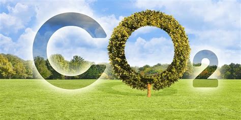 Зеленая логистика: снижение углеродного следа при поставках